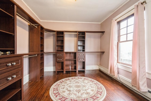 walk in closet featuring wood-type flooring