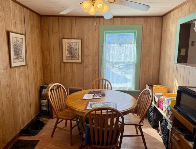 dining area with light wood-style flooring, ceiling fan, and wood walls