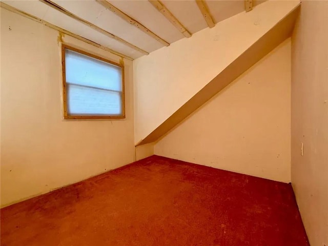 bonus room with carpet