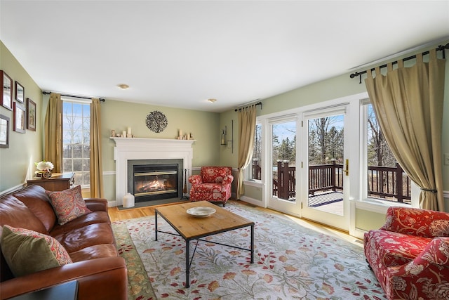 living room with wood finished floors and a glass covered fireplace