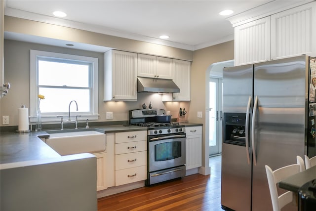 kitchen featuring ornamental molding, under cabinet range hood, a sink, dark wood-style floors, and stainless steel appliances