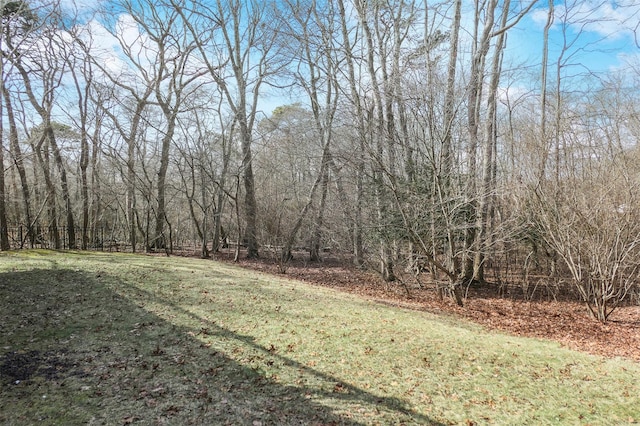 view of yard featuring a forest view