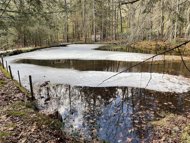 water view with a forest view