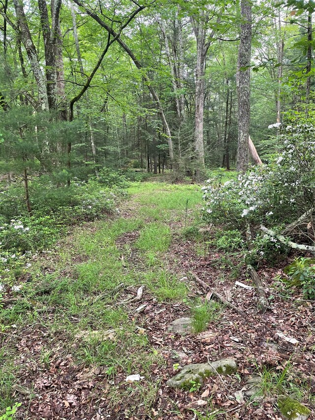 1021 Pine Kill Rd, Wurtsboro, NY 12790 - photo 4