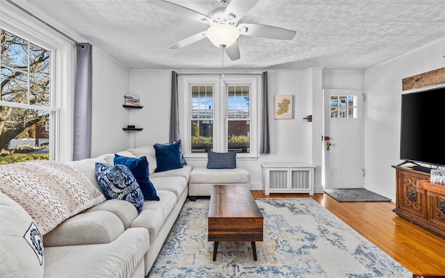 living room with a ceiling fan, radiator, wood finished floors, and baseboards