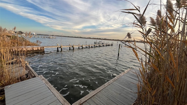 dock area featuring a water view