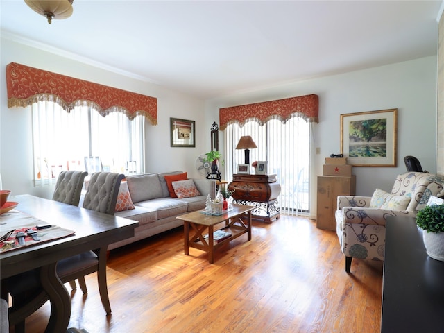 living room with light wood finished floors