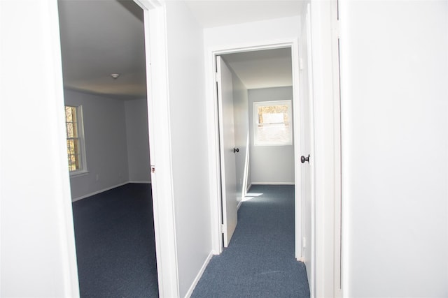 5 Ethan Allen Court, Ridge, NY 11961 - photo 29