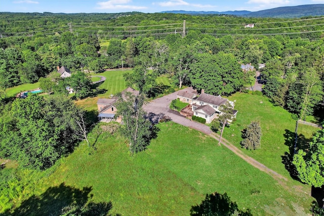151 Tuthill Rd, Blooming Grove, NY 10914 - photo 44