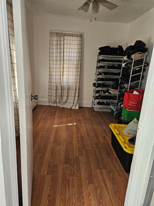 storage area with a baseboard radiator and ceiling fan