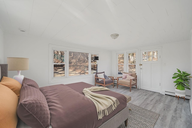 bedroom featuring multiple windows and wood finished floors