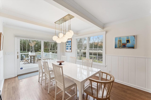 dining room featuring a wealth of natural light, a wainscoted wall, crown molding, and wood finished floors