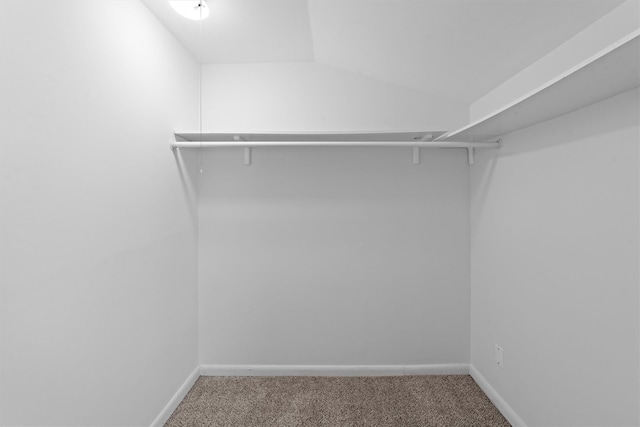 spacious closet with carpet