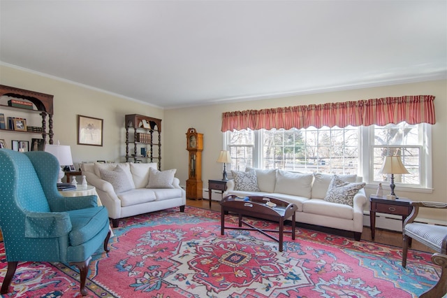 living room featuring a baseboard radiator, wood finished floors, and ornamental molding