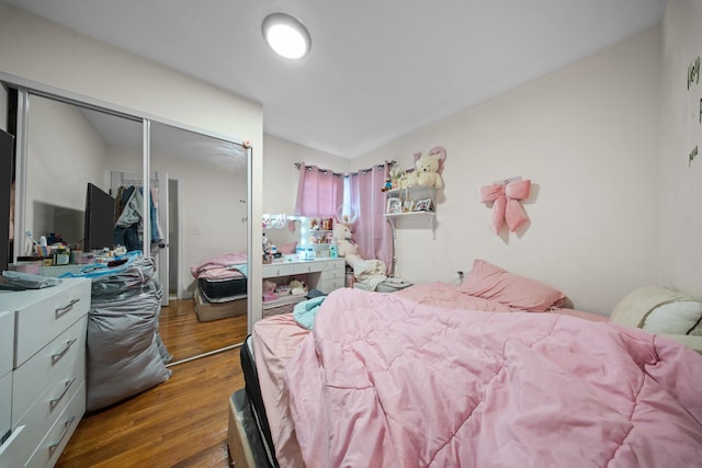 bedroom featuring a closet and wood finished floors