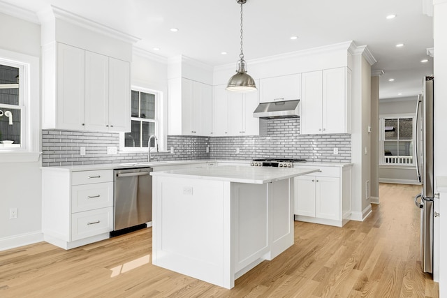 kitchen with under cabinet range hood, light wood-style flooring, stainless steel appliances, and light countertops