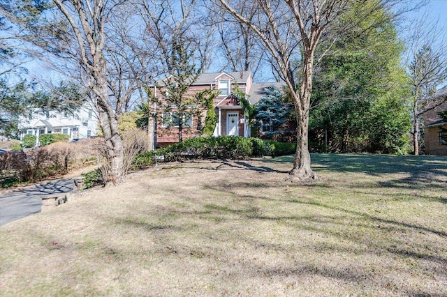 view of front of home featuring a chimney and a front lawn