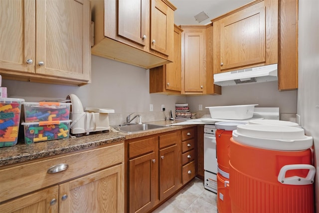 kitchen featuring a sink and under cabinet range hood