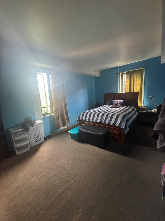 1722 Purdy St Unit 5A, Bronx, NY 10462 - carpeted bedroom featuring multiple windows