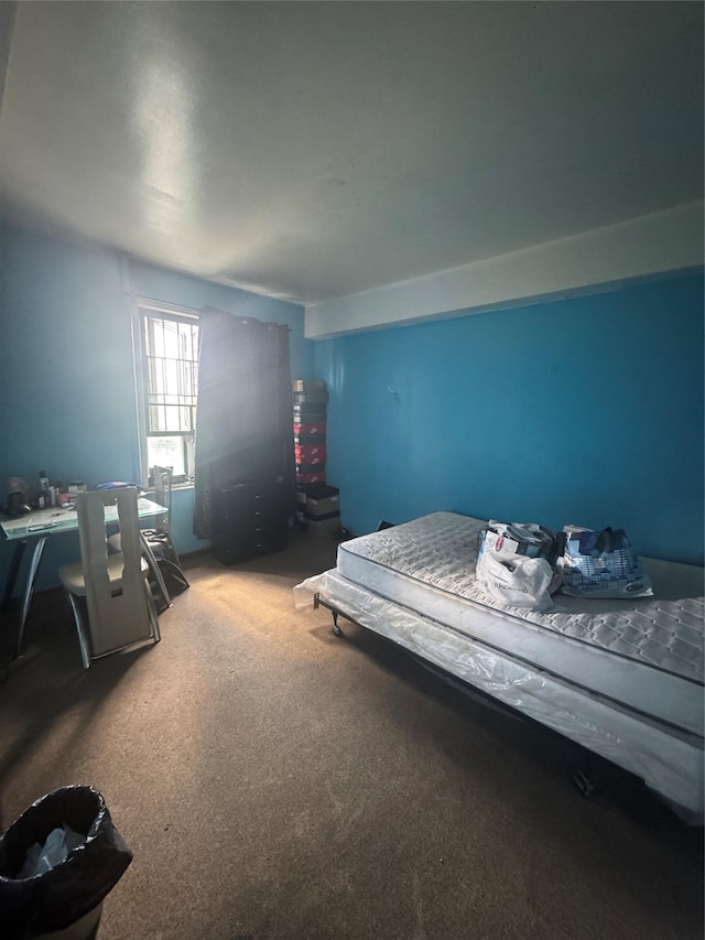1722 Purdy St Unit 5A, Bronx, NY 10462 - bedroom with carpet flooring