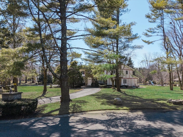 view of front of house with a front yard