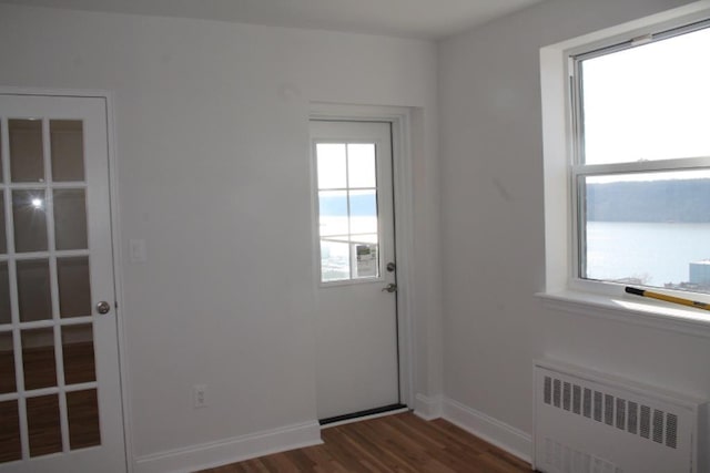 entryway featuring dark wood finished floors, radiator, baseboards, and a wealth of natural light