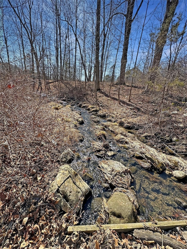 view of nature