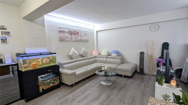 living area featuring wood finished floors