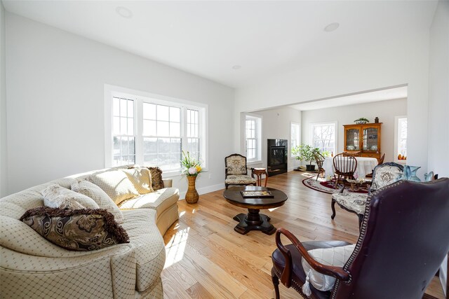 living area featuring baseboards and wood finished floors