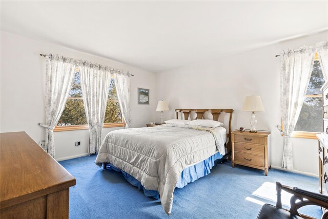 bedroom featuring baseboards and carpet