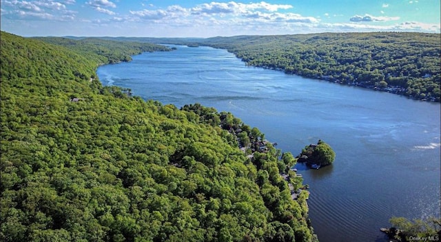 bird's eye view featuring a wooded view and a water view