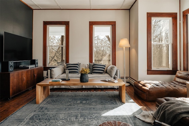 living room featuring wood finished floors and a paneled ceiling