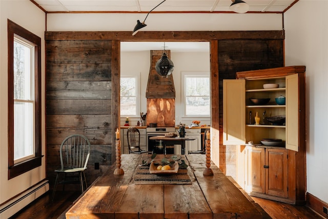 dining area with dark wood-style floors, a healthy amount of sunlight, and baseboard heating