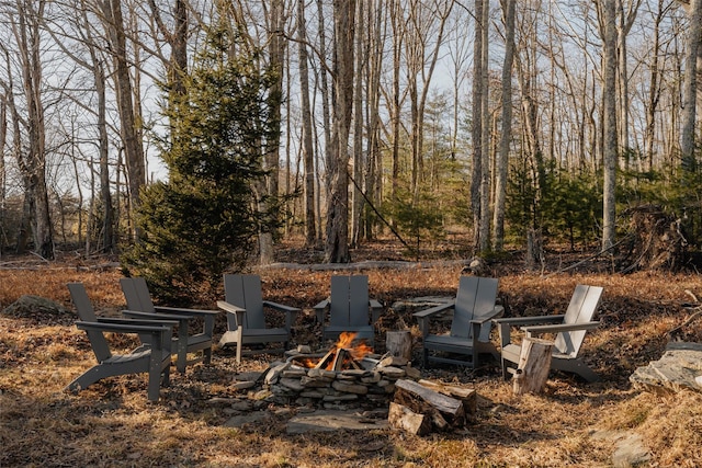 view of yard featuring a fire pit