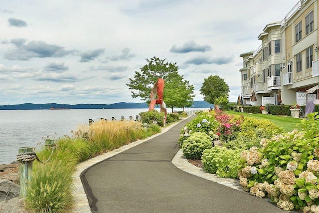 view of home's community with a water view