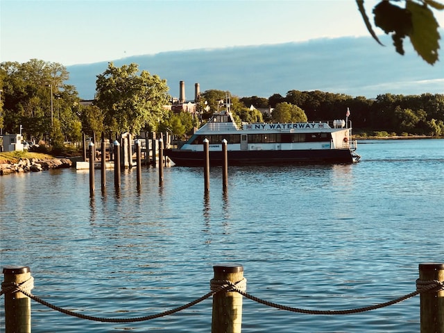 property view of water with a dock