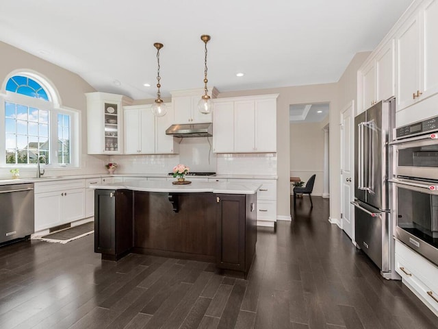 kitchen with under cabinet range hood, tasteful backsplash, a center island, stainless steel appliances, and light countertops