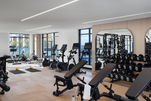 exercise room featuring expansive windows