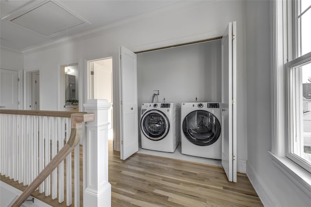 washroom featuring crown molding, attic access, light wood-type flooring, laundry area, and washer and dryer