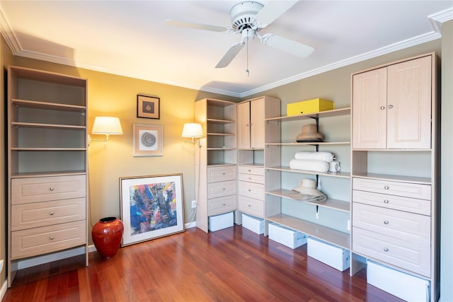 office area with dark wood-type flooring, a ceiling fan, and ornamental molding