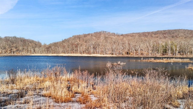 Pond Meadow Rd, Croton-On-Hudson NY, 10520 land for sale