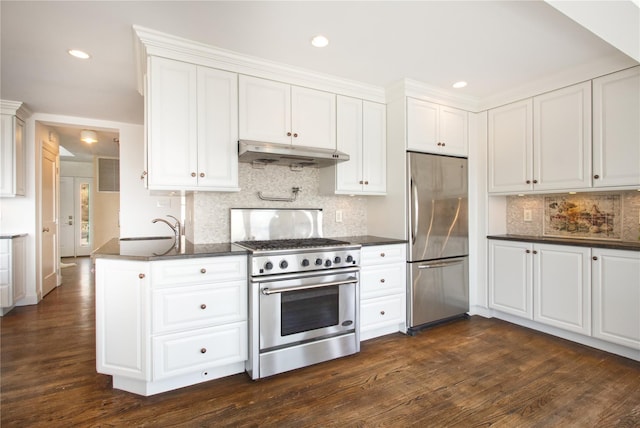 kitchen featuring under cabinet range hood, dark wood finished floors, appliances with stainless steel finishes, white cabinetry, and a sink