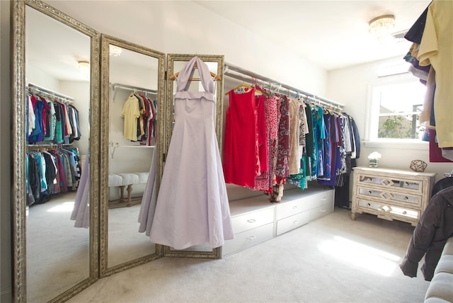 spacious closet featuring carpet floors