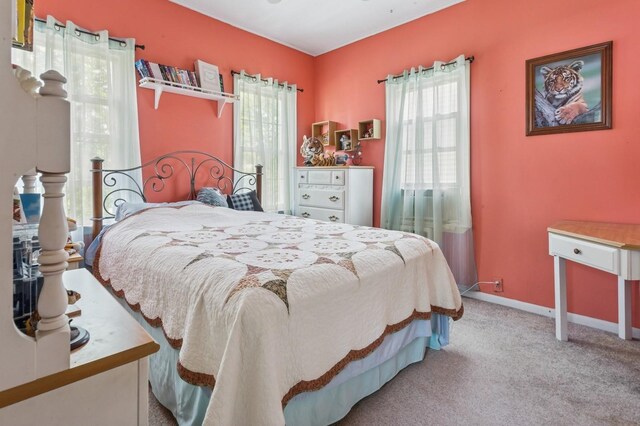 73 Spruce Ave, Floral Park, NY 11001 - carpeted bedroom with multiple windows