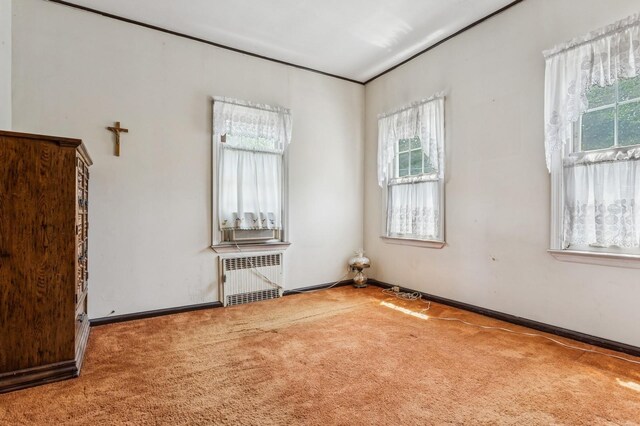 73 Spruce Ave, Floral Park, NY 11001 - empty room with radiator, carpet floors, and healthy amount of natural light