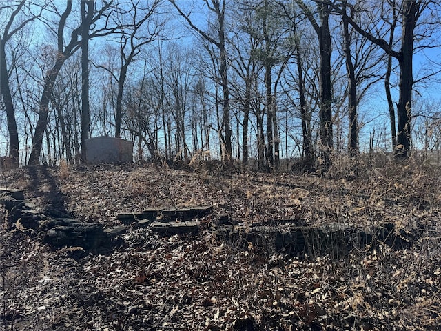 view of landscape