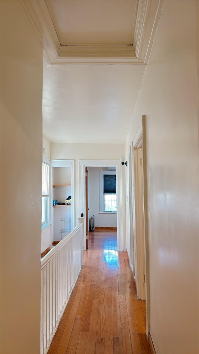 hallway with light wood-style floors