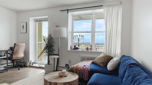 living area with a baseboard radiator and wood finished floors