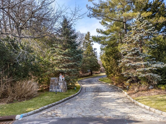 view of road featuring curbs