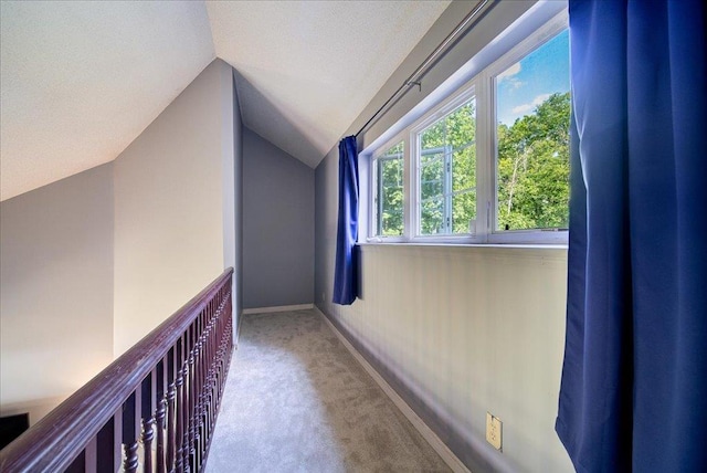 10 Lyford Ln, Poughkeepsie, NY 12601 - bonus room with lofted ceiling, carpet flooring, and a textured ceiling
